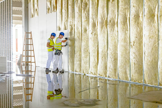 Types of Insulation We Offer in Ovilla, TX